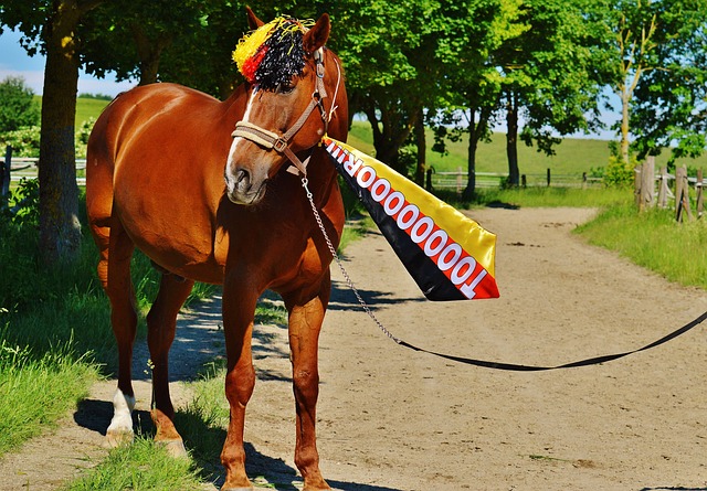 力不仅体现 力不仅体现