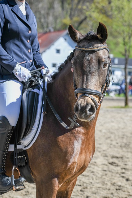 BA交易的 BA交易的