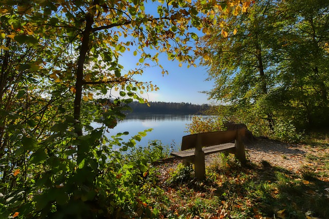 美女主持们 美女主持们
