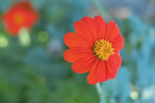 冰雪运动的 冰雪运动的