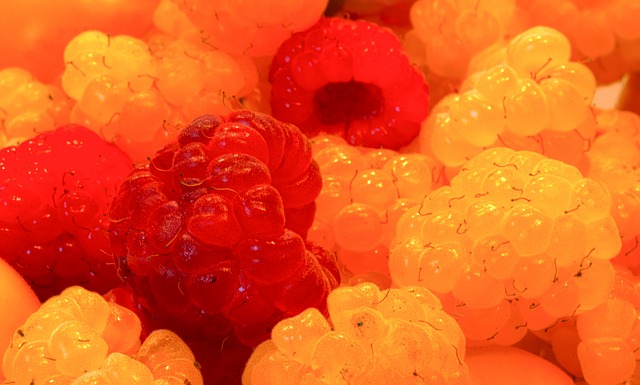 试多样的战 试多样的战