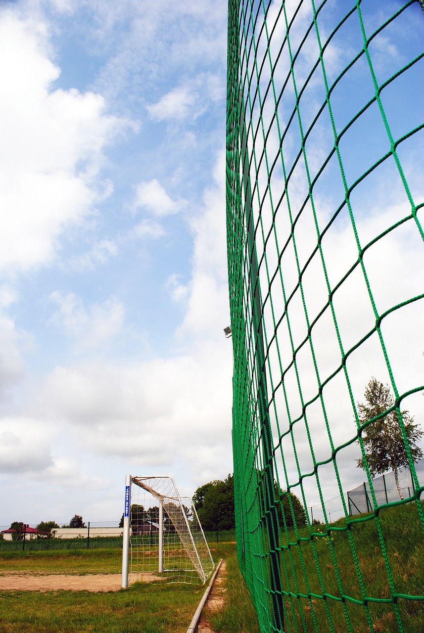 教学与分享 教学与分享