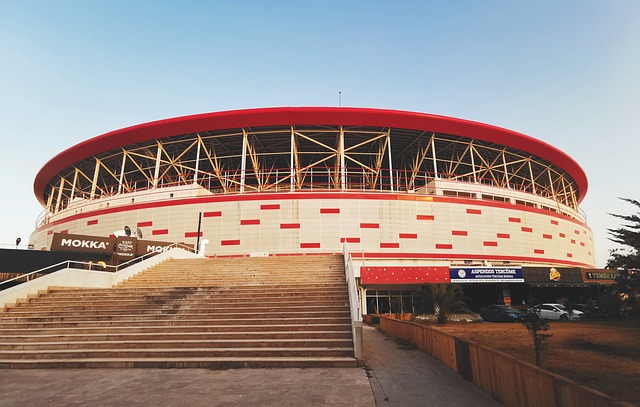 技术自立 技术自立