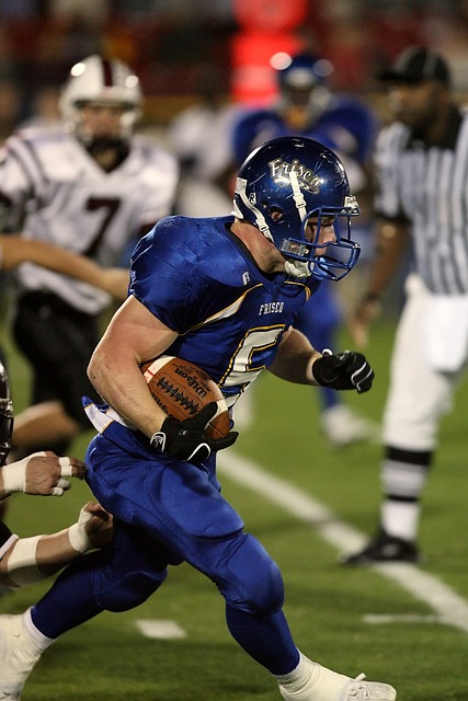 厦门国际马 厦门国际马