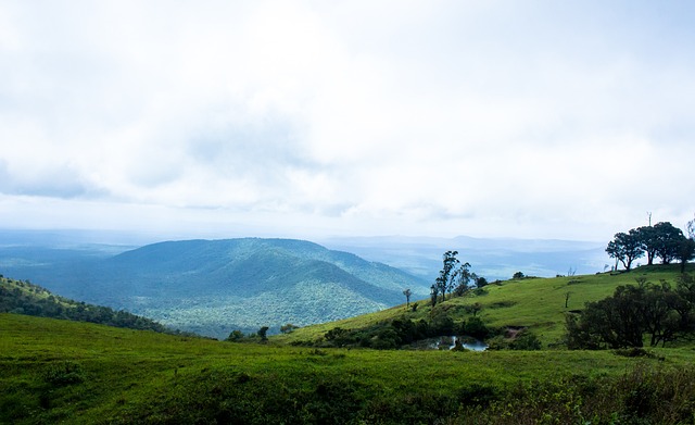 牢占据积分 牢占据积分